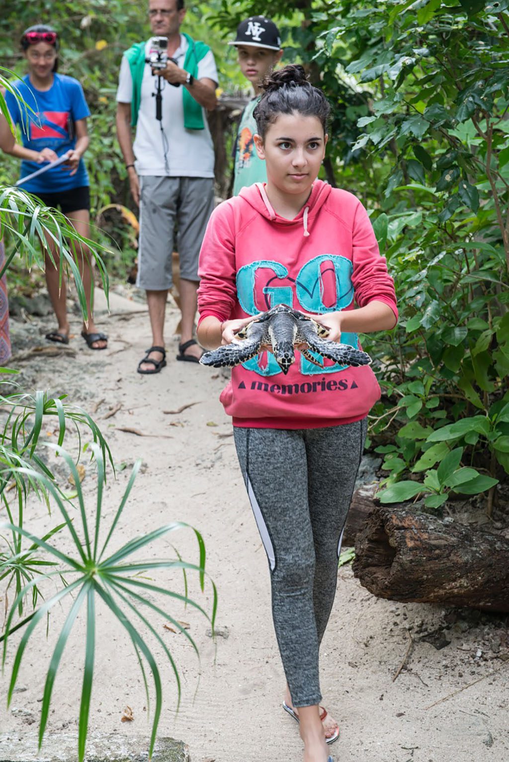 Tranquility Island Eco Resort Vanuatu Turtle Rookery releasing turtle credit Jayne Jenkins I6755