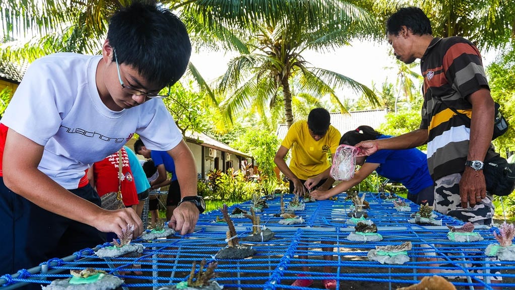 Coral reef restoration sea communities bali indonesia making coral tables