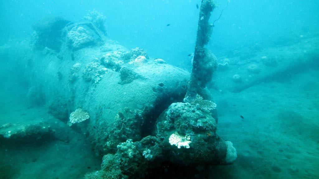 Propeller diving the zero at walindi resort png diveplanit