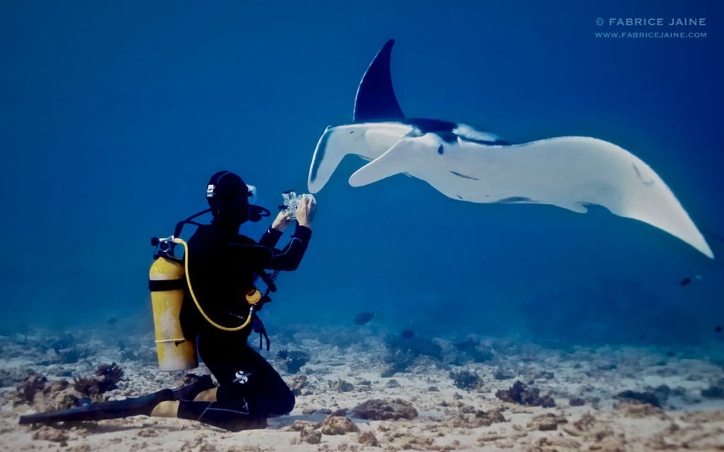 Diving Lady Elliot Island with the Lady Elliot Island Resort dive shop - Manta blog by fabrice jaine