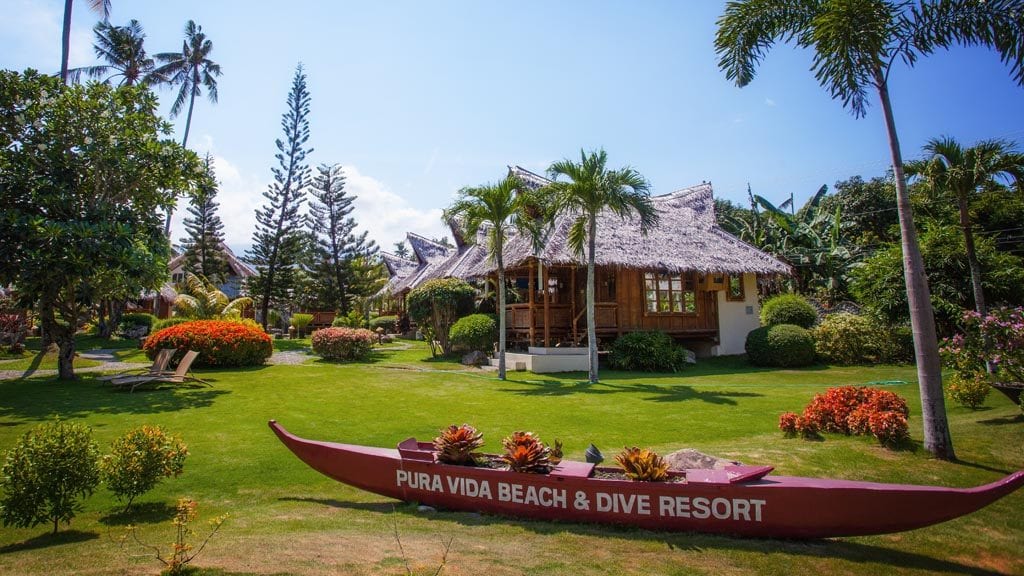 Sea explorers dauin pura vida beach dive resort dauin philippines resort logo shot