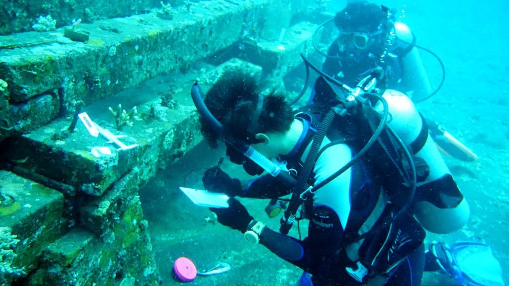 Coral reef restoration sea communities bali indonesia survey