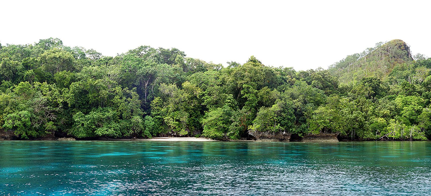 Tua Marine Reserve Network Ferguson Island landscape
