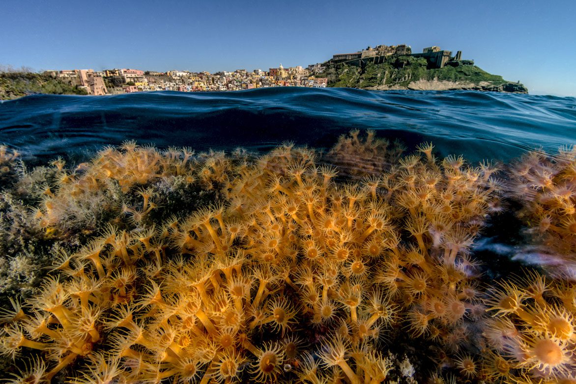 Winner seascapes mar Winner Seascapes by Marco Gargiulo