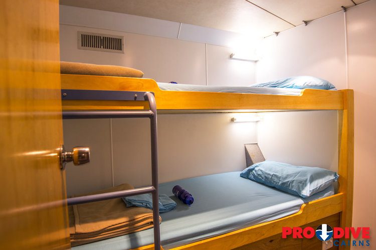 Pro dive cairns scubapro liveaboard great barrier reef twin cabin