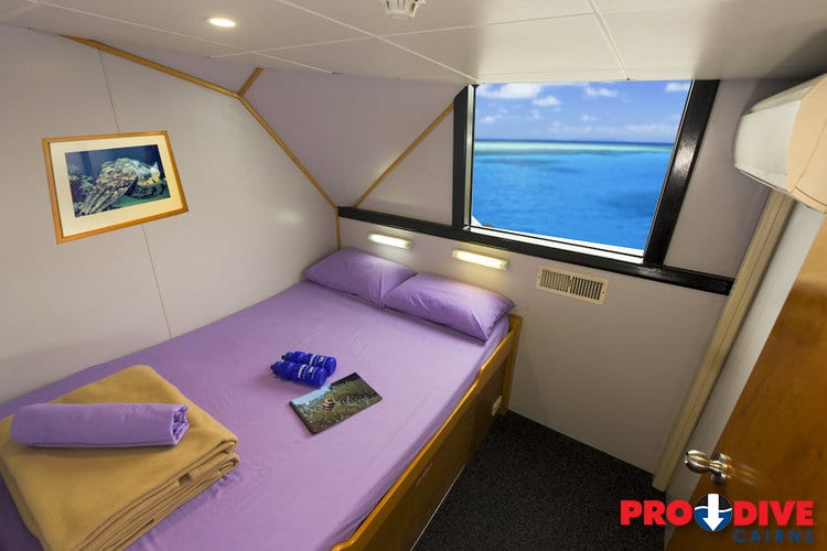 Pro dive cairns scubapro liveaboard great barrier reef double cabin