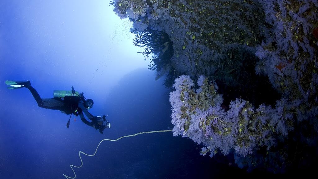 Paradise taveuni resort scuba diving in fiji taveuni fiji great white wall