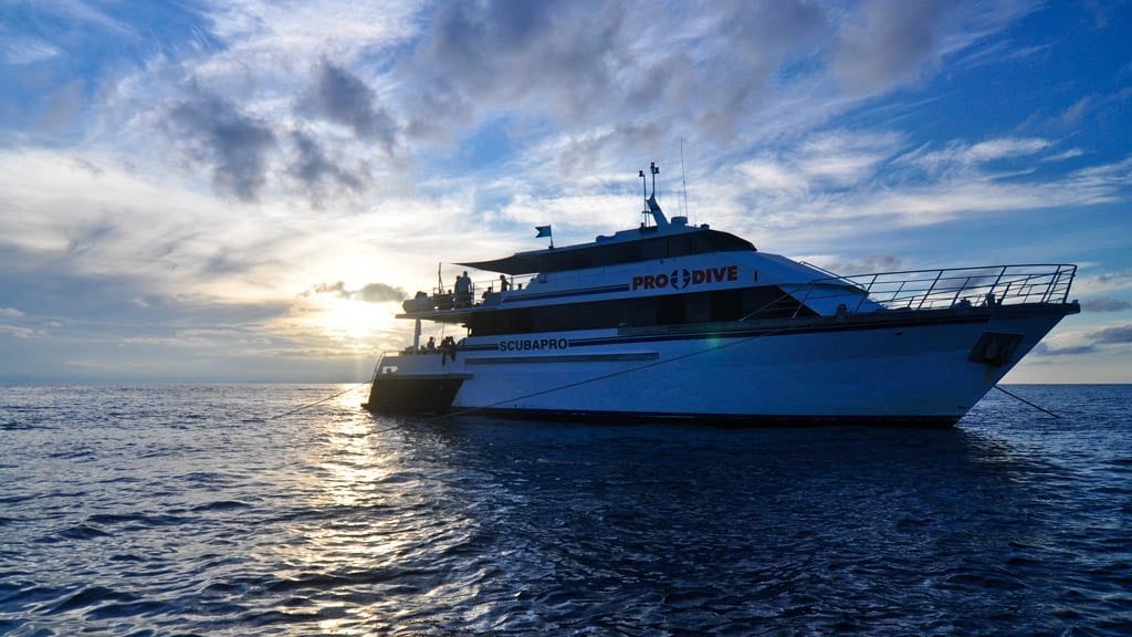 Pro dive cairns scubapro liveaboard great barrier reef dawn external