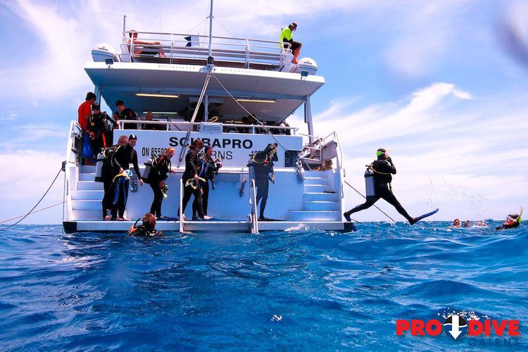 Pro dive cairns scubapro liveaboard great barrier reef giant stride