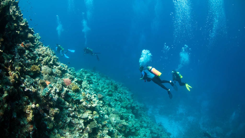 Great escape liveaboard rowley shoals australia diving