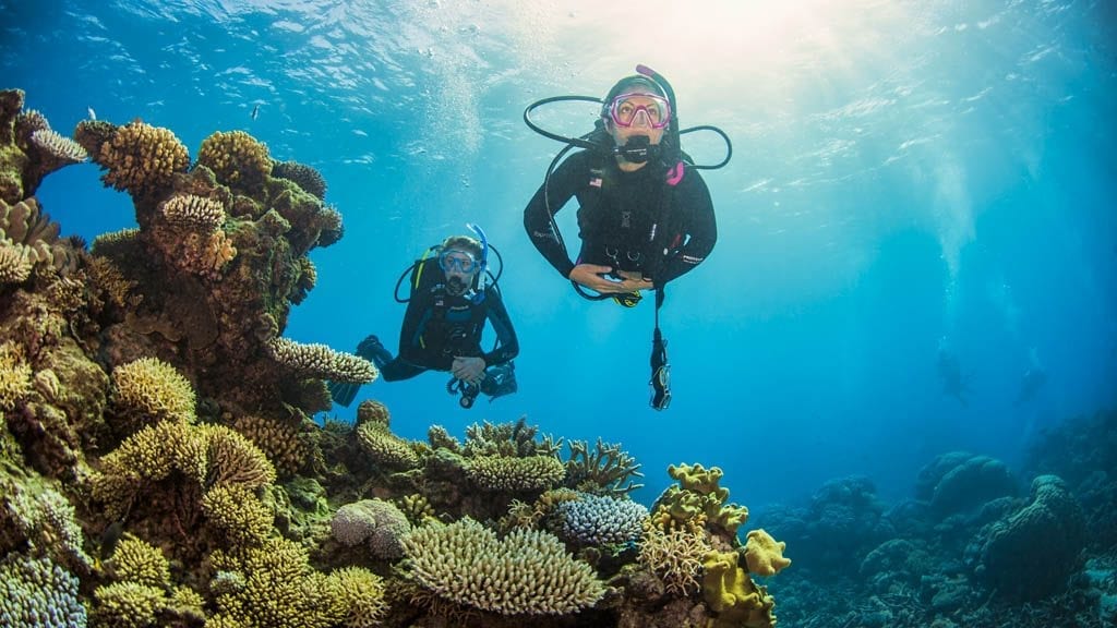 Pro dive cairns scubapro liveaboard great barrier reef two divers