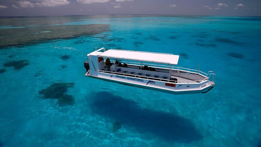 Diving Rowley Shoals with Odyssey Expeditions, Western Australia - homer