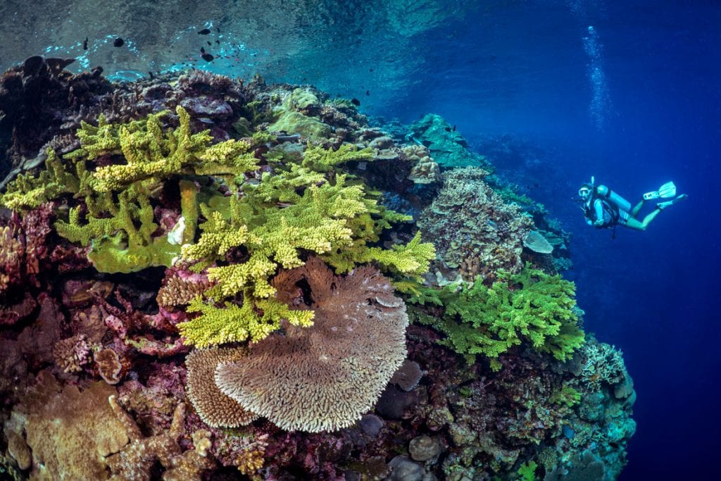 Master Liveaboards, Solomons Master, South Pacific, Solomon Islands