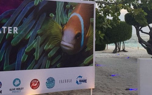 Lux maldives underwater festival banneer