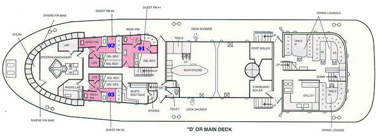 Ss thorfinn liveaboard truk deck plan d deck