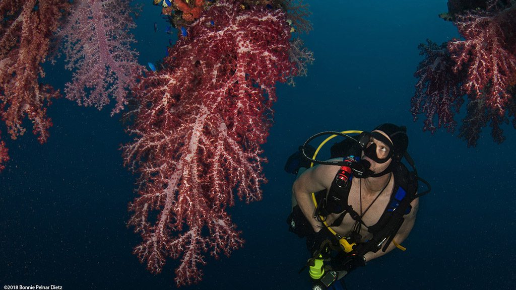 7 odyssey liveaboard truk micronesia sankisan maru