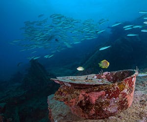 Diveplanit diving vanuatu santo pacific dive million dollar point jj mrec