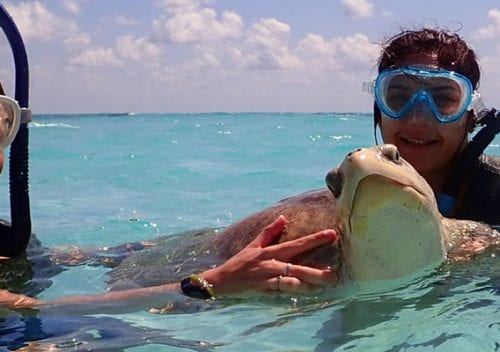Maldives olive ridley project claire petros with turtle banner