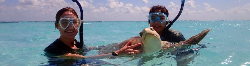 Saving the Maldives’ sea turtles: why we need hospitals, not hatcheries.