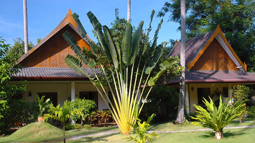 1 sea bees palm gardens resort phuket thailand bungalow