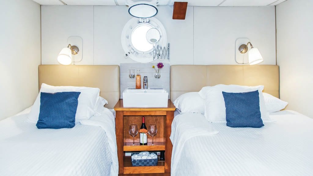 Nautilus explorer liveaboard socorro guadalupe mexico stateroom c