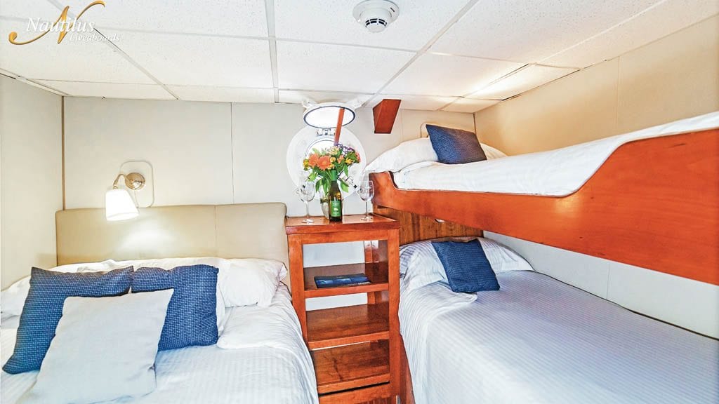 Nautilus explorer liveaboard socorro guadalupe mexico stateroom triple