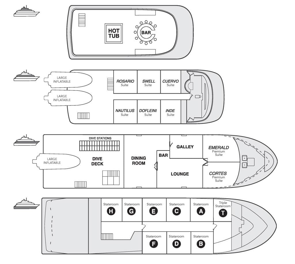 Nautilus belle amie liveaboard socorro guadalupe mexico deckplan