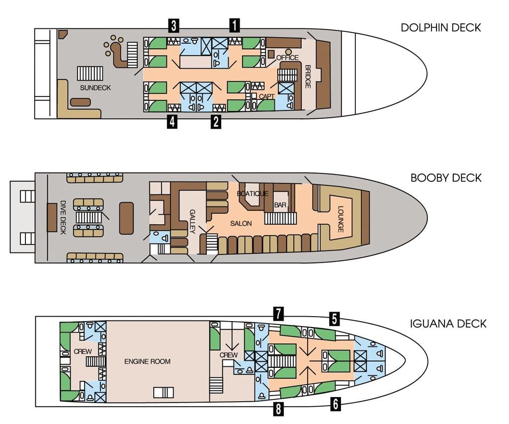 Galapagos sky liveaboard galapagos islands cabin layout