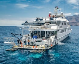 Nautilus belle amie liveaboard socorro guadalupe mexico sharking feature