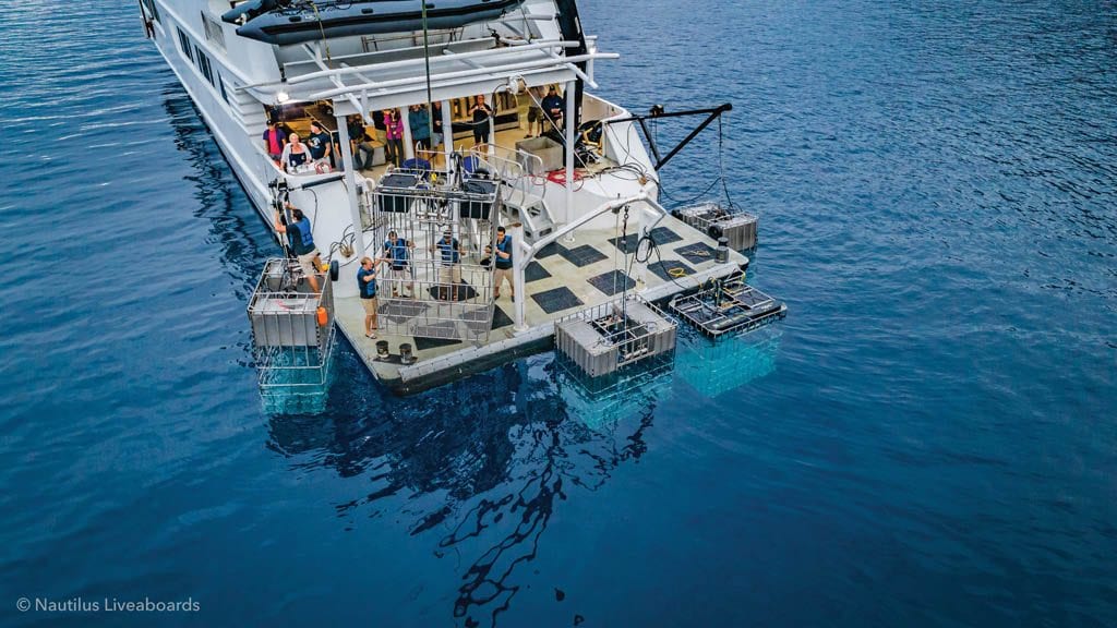 Nautilus belle amie liveaboard socorro guadalupe mexico shark operations hero