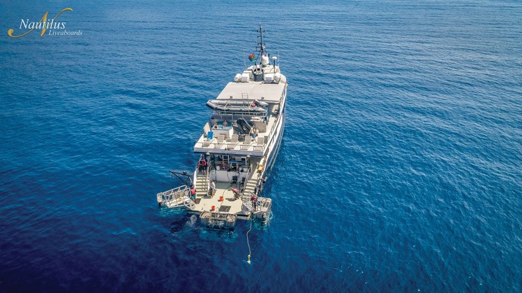 Nautilus under sea liveaboard socorro guadalupe mexico shark operations hero