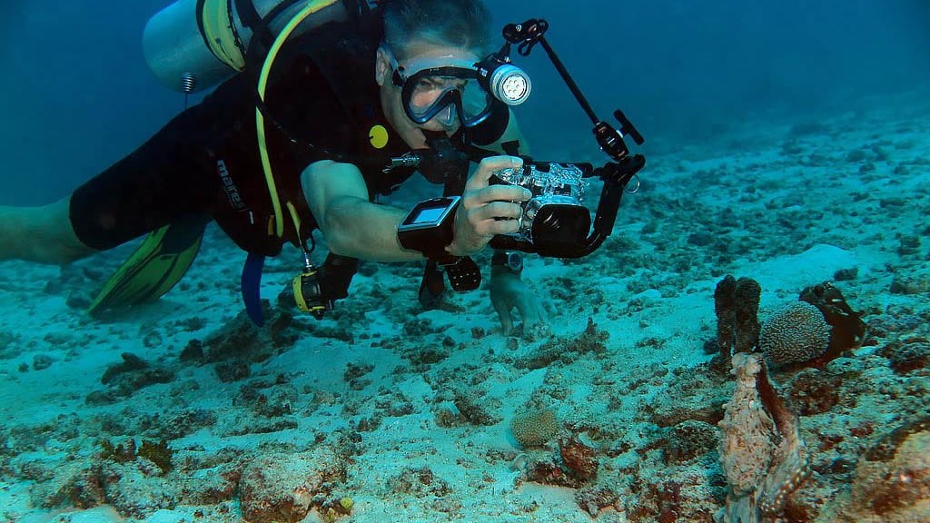 Sea bees liveaboard similan islands surin islands thailand diver octopus