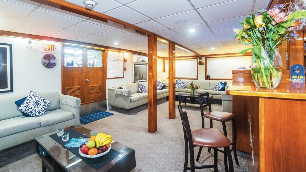 Nautilus explorer liveaboard socorro guadalupe mexico lounge