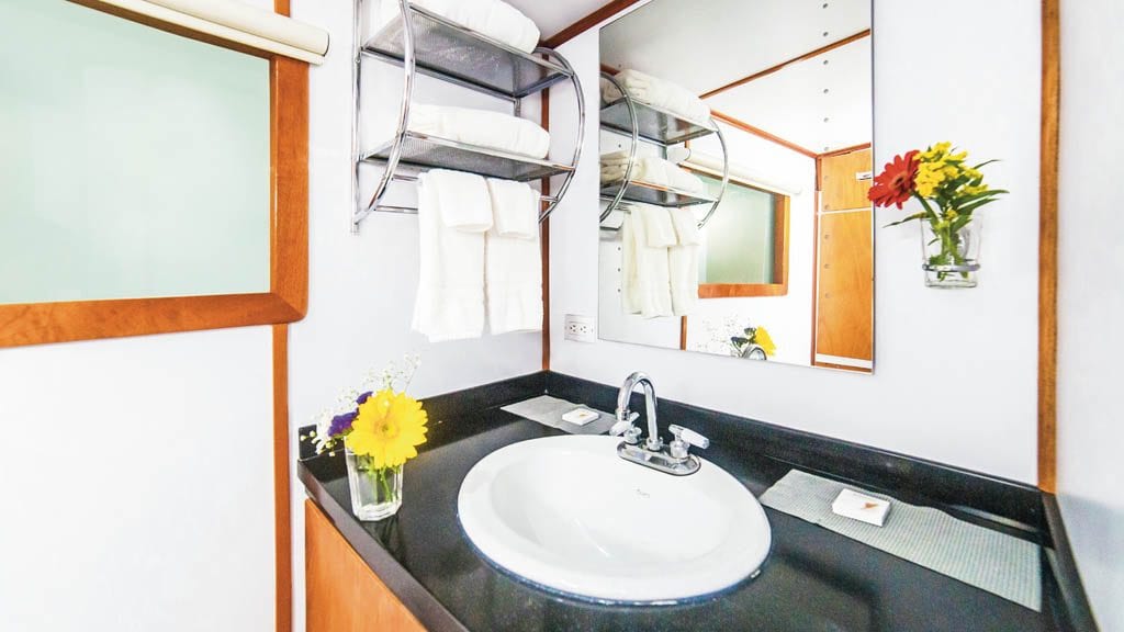 Nautilus under sea liveaboard socorro guadalupe mexico premium bathroom