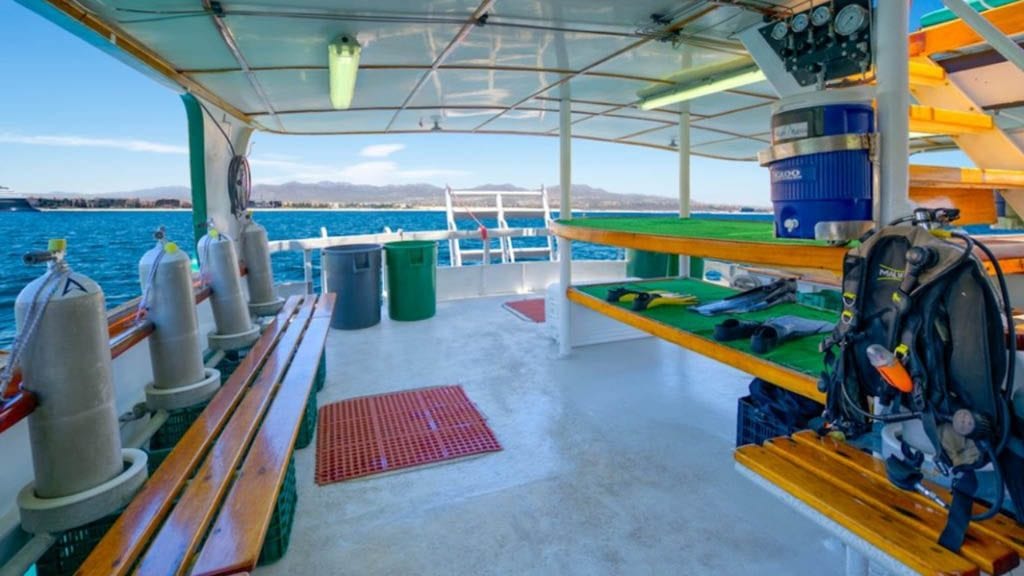 Solmar v liveaboard socorro guadalupe mexico dive deck