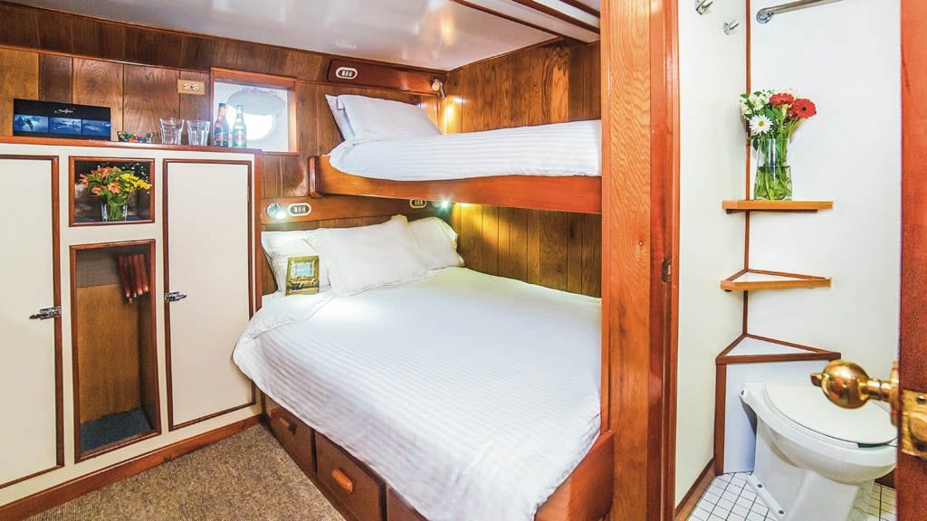 Nautilus under sea liveaboard socorro guadalupe mexico stateroom