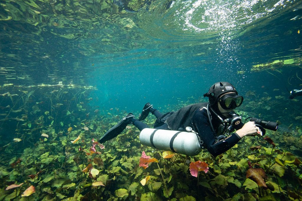 Diving cenotes caverns cavern nicte ha