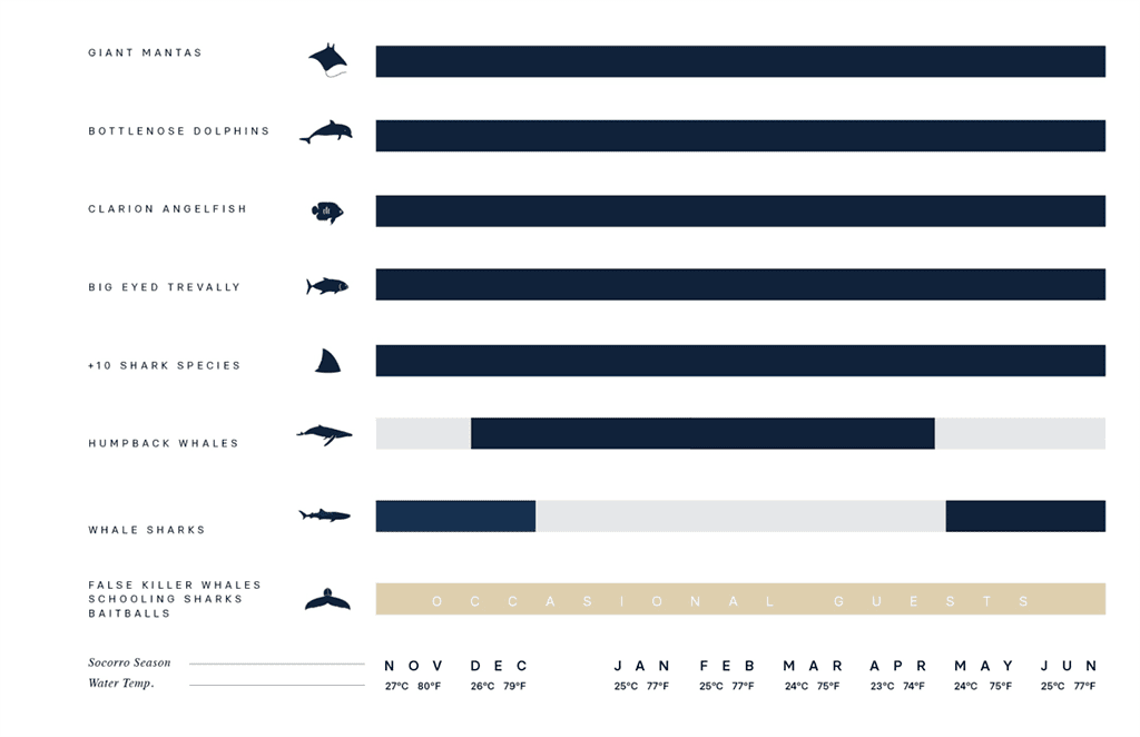 Solmar v pacific fleet wildlife calendar