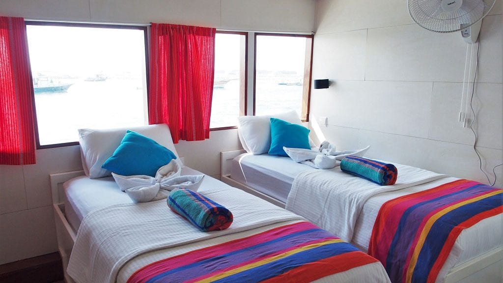Emperor voyager liveaboard maldives twin cabin upper deck