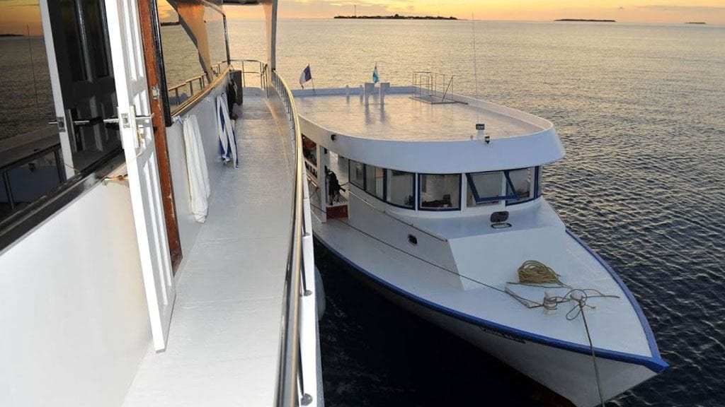 Emperor voyager liveaboard maldives diving dhoni