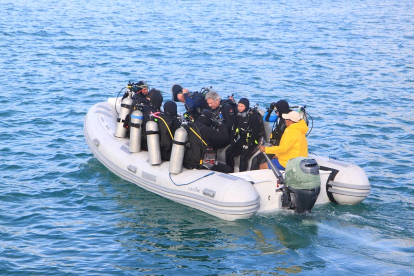 Humboldt explorer liveaboard galapagos islands diving dingy