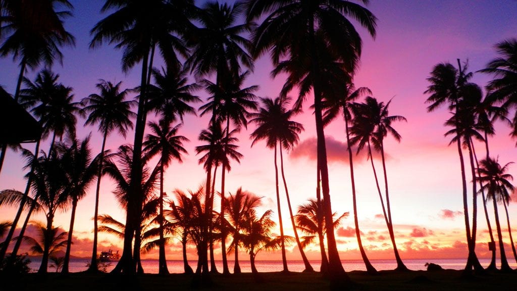 Dive truk lagoon blue lagoon sunset behind coconut trees