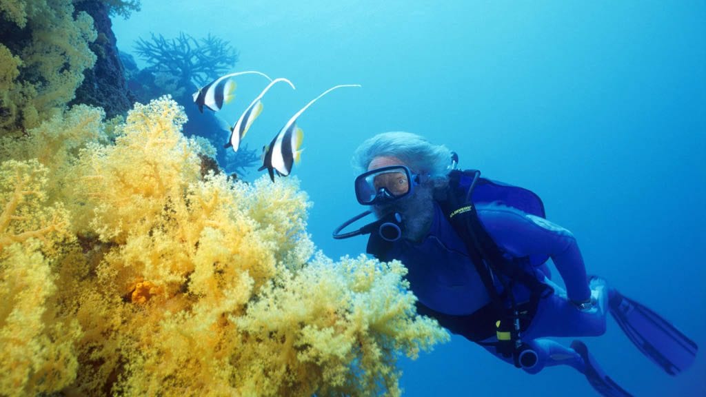 Jean michel cousteau resort savusavu fiji jean michel cousteau diving