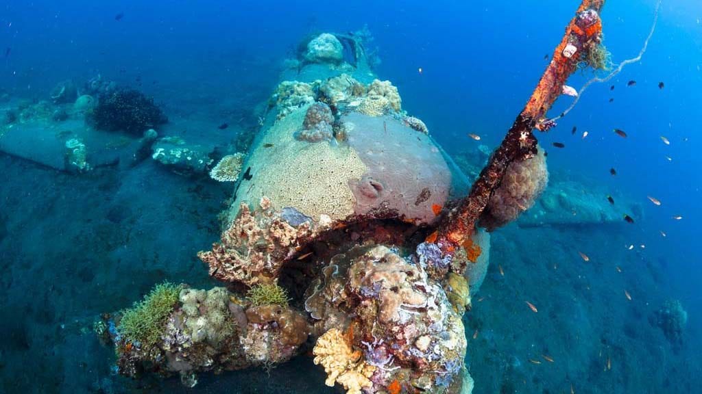 Dive papua new guinea lissenung island by grant thomas plane wreck