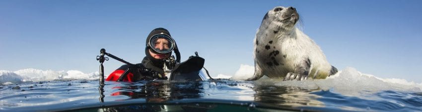 Meet underwater photography legends at the 2019 Underwater Tour