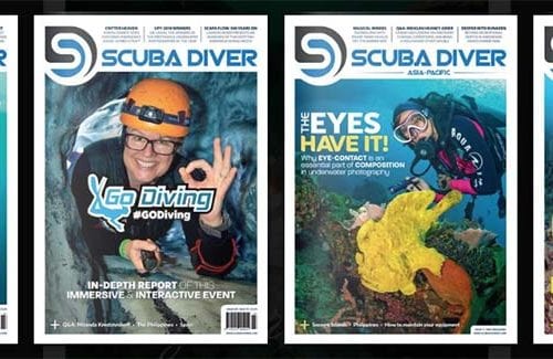 Scuba diver magazine banner