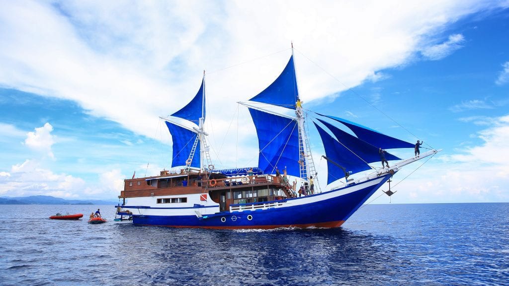 Temukira liveaboard | raja ampat from sorong in full sail