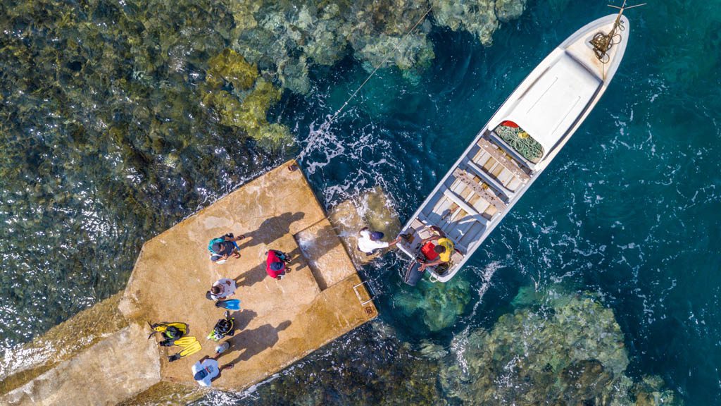 White Grass Ocean Resort, Tanna, Vanuatu offers year round diving and snorkelling in crystal clear waters on pristine hard coral reefs