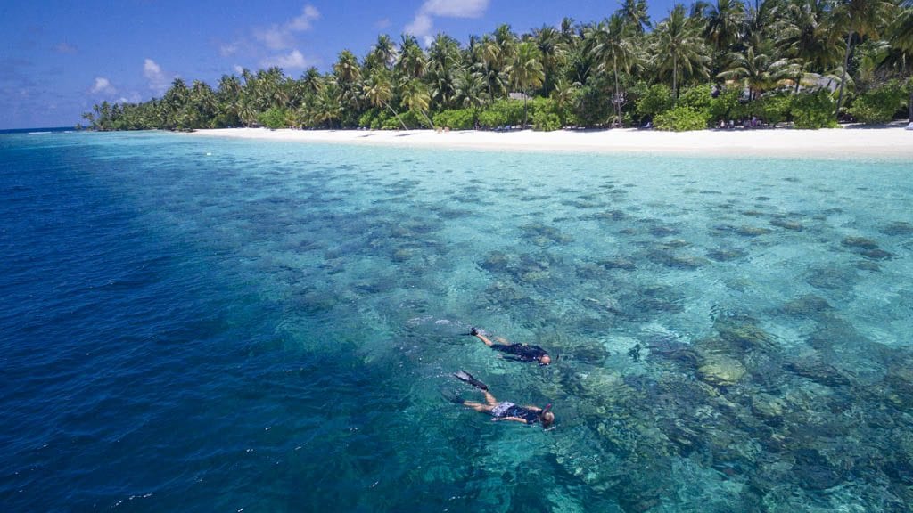 4 Filitheyo Island Resort & Werner Lau Dive Centre, Maldives - snorkelling the house reef