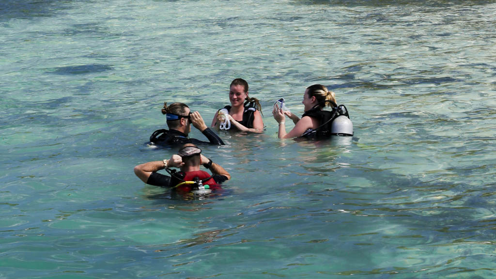 the perfect place for visitors looking to enjoy the underwater beauty of the Maldives